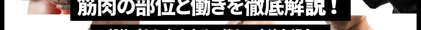 筋肉の部位と働きを徹底解説！部位ごとにおすすめの筋トレ方法も紹介