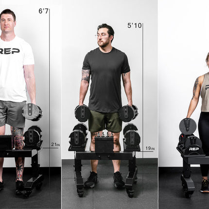 Adjustable Dumbbell Stand