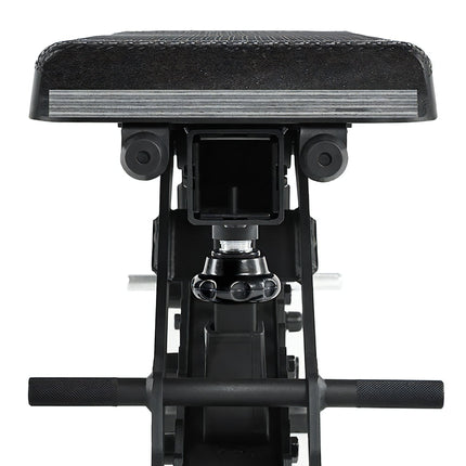 Adjustable Bench Warrior 2.0
