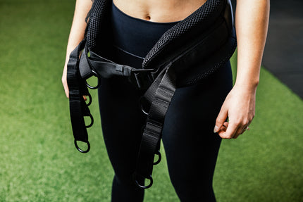 Belt Squat Belt
