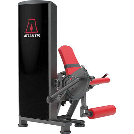 Leg Extension
