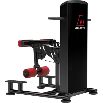 Standing Leg Curl
