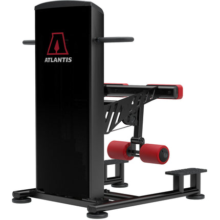 Standing Leg Curl