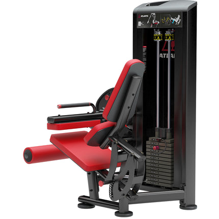 Seated Leg Curl