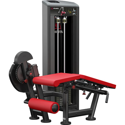 Leg Extension/Leg Curl Combo