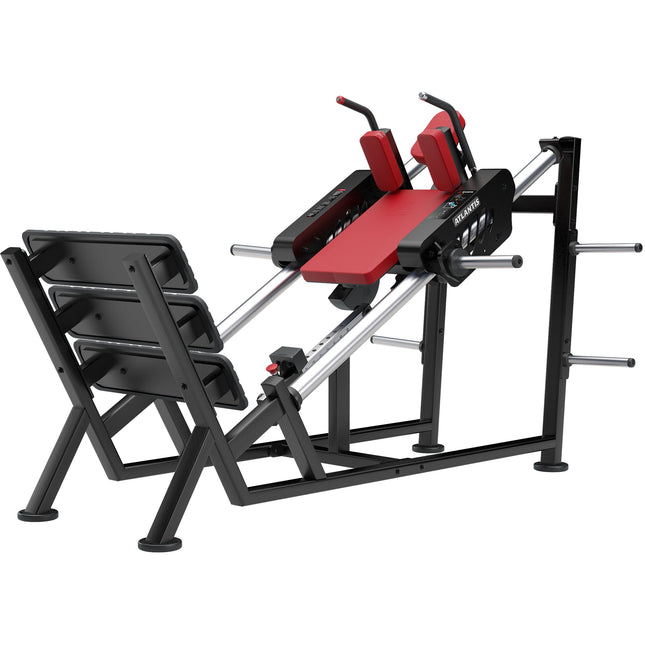 Hack Squat