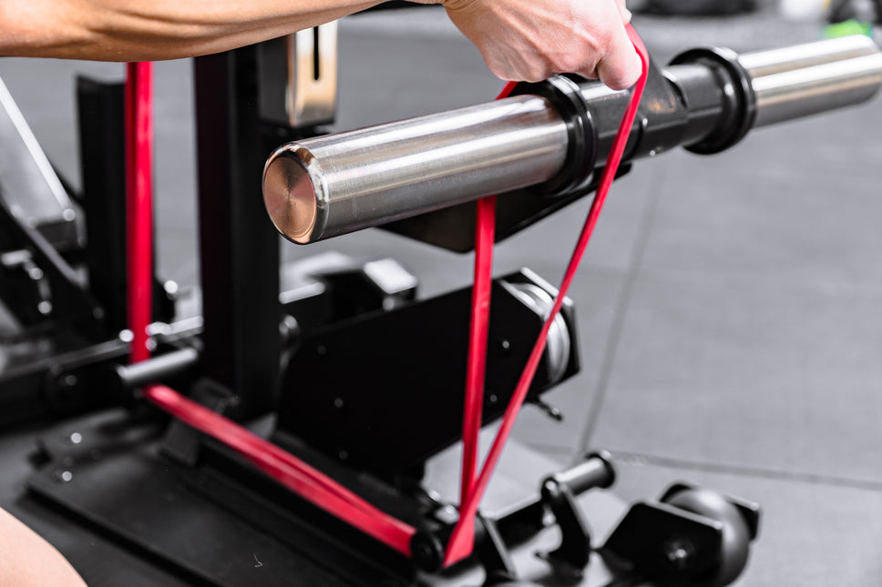 レッグエクステンション&レッグカールアタッチメント