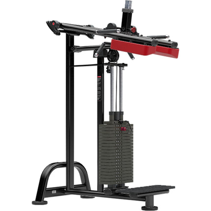 Standing Calf Raise