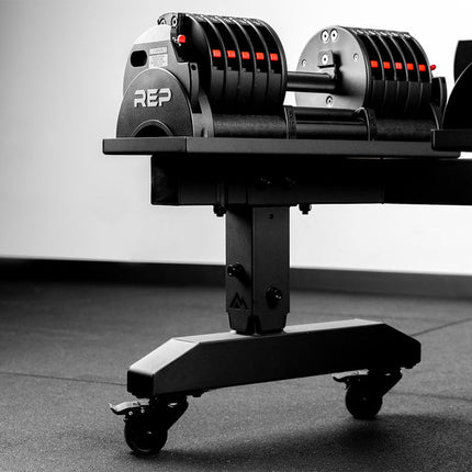 Adjustable Dumbbell Stand
