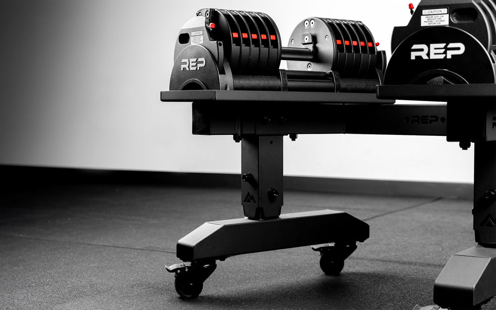 Adjustable Dumbbell Stand