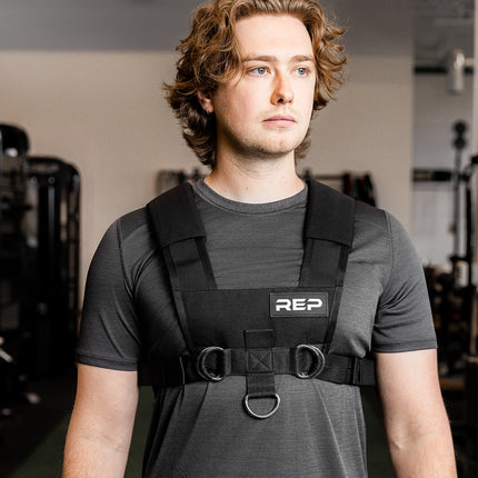 Sled Harness