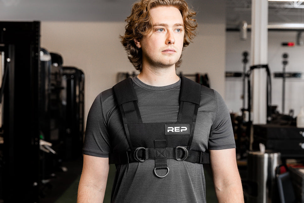 Sled Harness