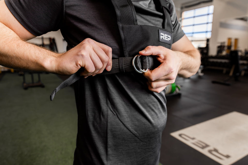 Sled Harness