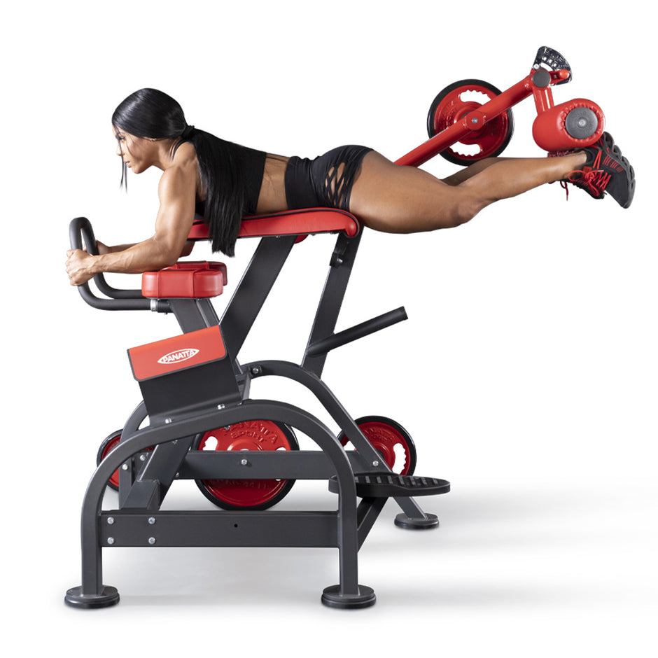 Reverse hyper extension | Panatta FREEWEIGHT SPECIAL – ウチノジム | UCHINOGYM